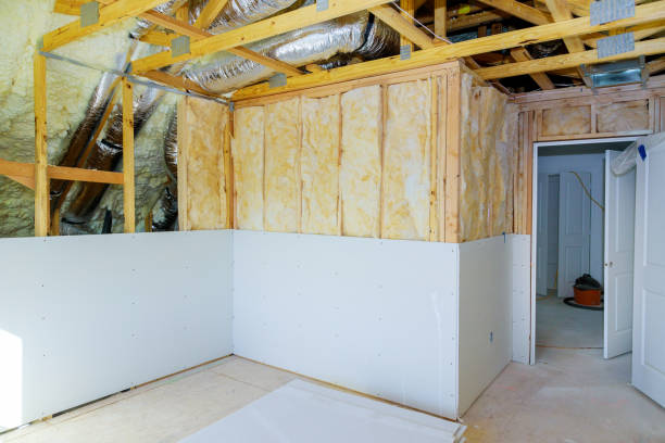 Best Wall Insulation Installation  in Geneseo, IL