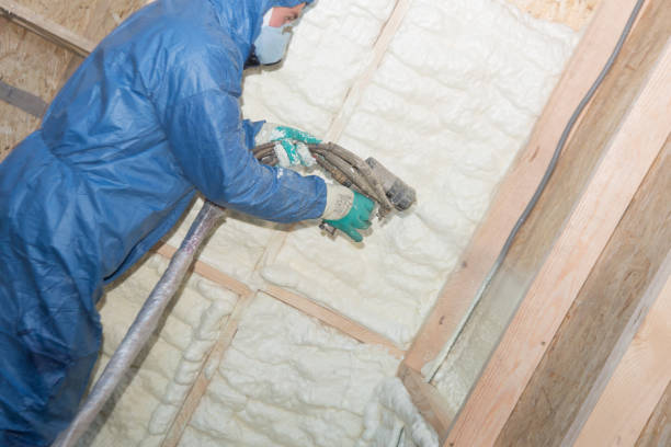 Best Commercial Insulation Services  in Geneseo, IL